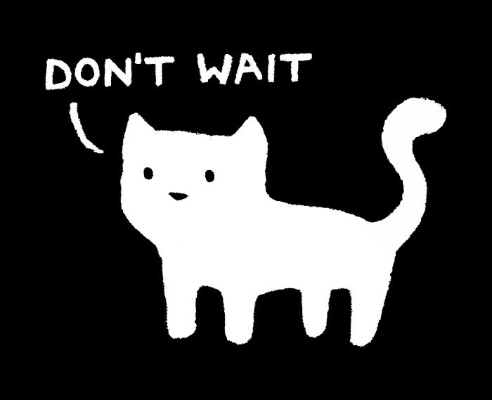 "Don't wait", says the cat.