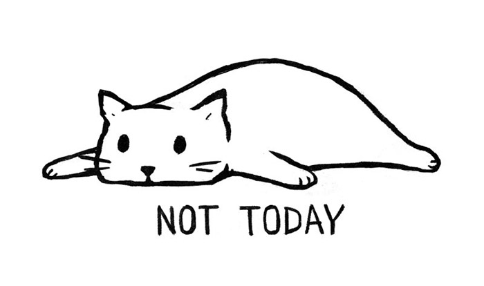 not today cat shirt