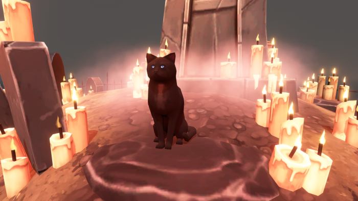 black cat in a graveyard