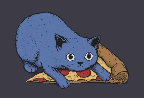 "Get your own pizza, human" - design by Justyna Dorsz