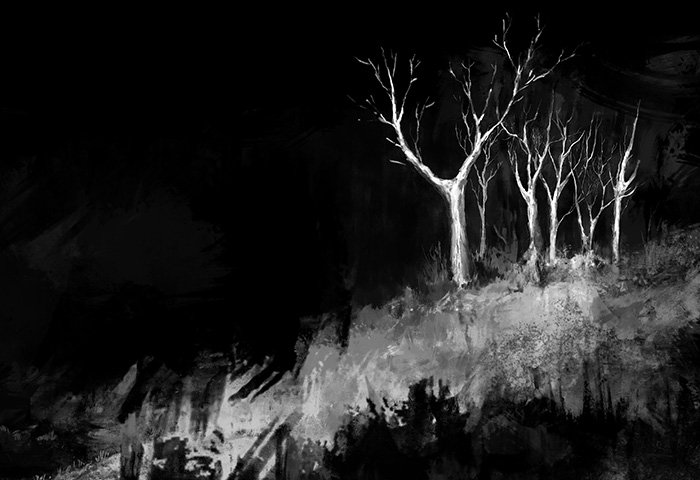 "Dark Woods" by Justyna Dorsz