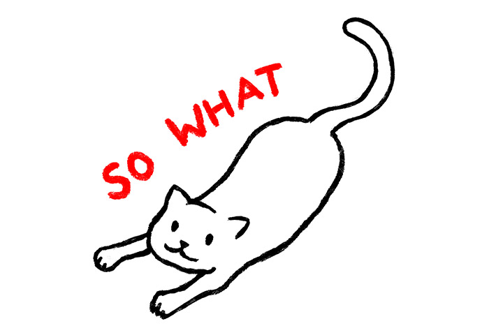 An outline of a happy cat with a red text "So What" above it.